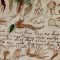Le manuscrit secret de Voynich