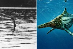 Des scientifiques ont découvert un cousin du monstre du Loch Ness