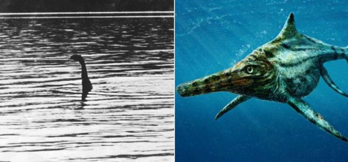 Des scientifiques ont découvert un cousin du monstre du Loch Ness