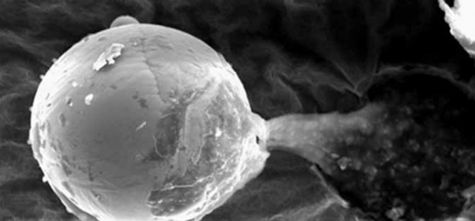 Des sphères de métal microscopiques contenant de l’ADN ont-elles apporté la vie sur Terre?