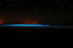 Le mystère fascinant de l’océan fluo d’Uruguay