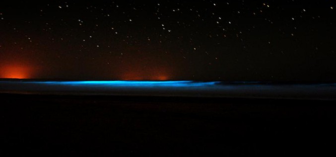 Le mystère fascinant de l’océan fluo d’Uruguay