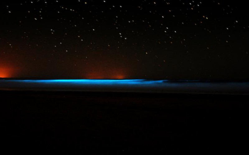 Le mystère fascinant de l’océan fluo d’Uruguay