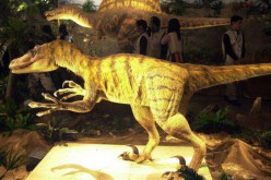 Des chercheurs transforment un embryon de poulet en dinosaure