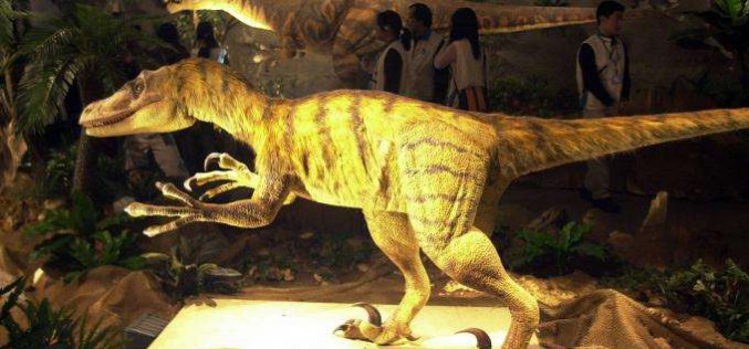 Des chercheurs transforment un embryon de poulet en dinosaure