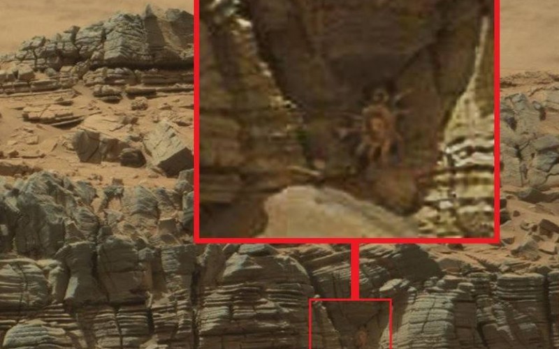 Un crabe géant sur la planète Mars ?