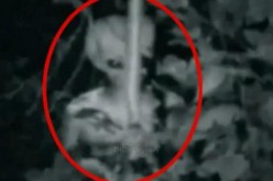 Une « créature non identifiée » filmée par une caméra de surveillance en Turquie
