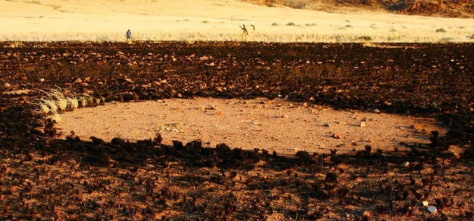 Le mystère des « cercles de fées » enfin dévoilé ?