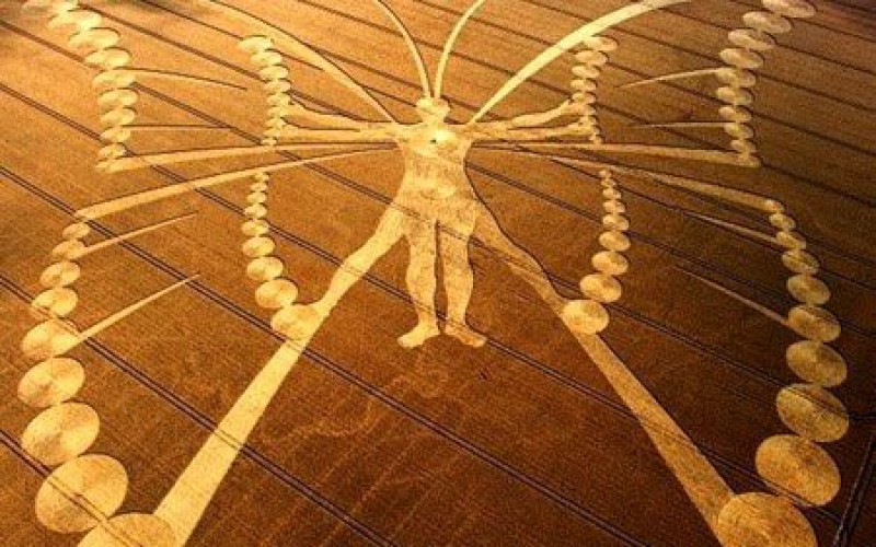 Les Crop Circles