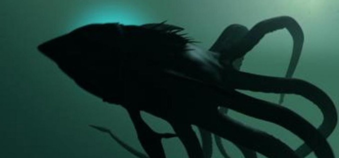 A la poursuite de Lusca, le monstre des Bahamas