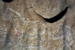 Découverte de peintures rupestres de 12.000 ans au Pays basque