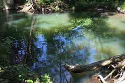 Le mystère de l’eau bleue persiste dans le ruisseau Lyon à Sherbrooke