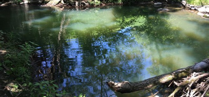 Le mystère de l’eau bleue persiste dans le ruisseau Lyon à Sherbrooke