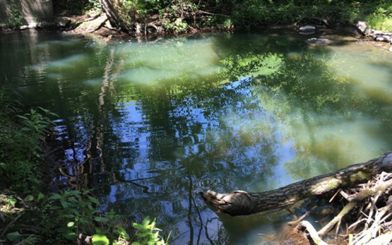 Le mystère de l’eau bleue persiste dans le ruisseau Lyon à Sherbrooke