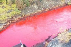 Le mystère de la rivière rouge