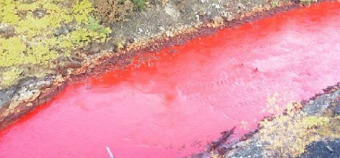 Le mystère de la rivière rouge