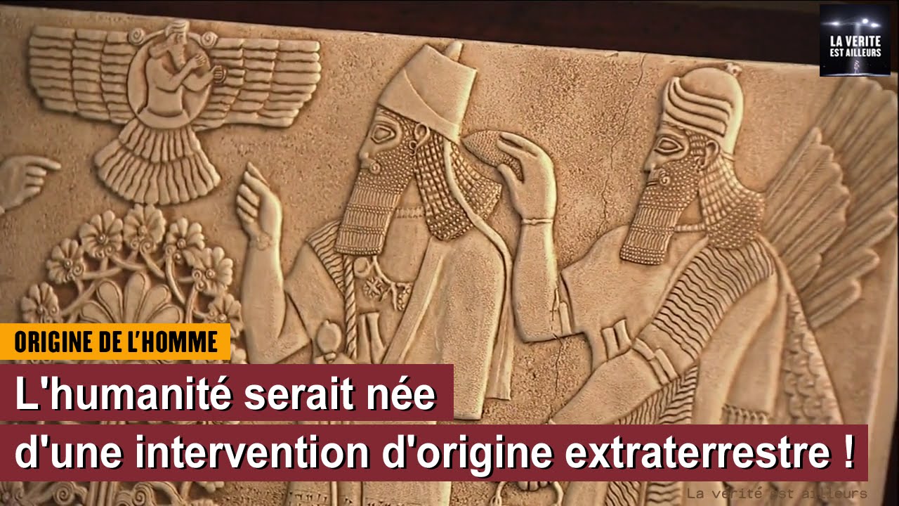 intervention d'humanité - intervention humanitaire définition