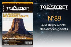 Top Secret N°89