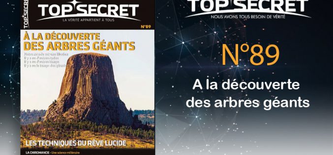 Top Secret N°89