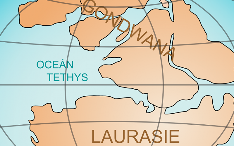 Un supercontinent disparu découvert au fond de l’océan Indien