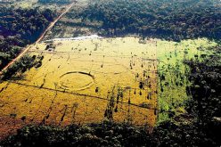 Une civilisation ancienne inconnue auparavant découverte en amazone