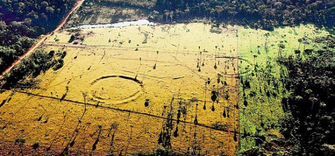 Une civilisation ancienne inconnue auparavant découverte en amazone