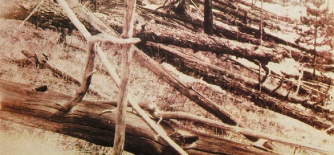 L’astéroïde de Tunguska, un mystère plus de 100 ans plus tard