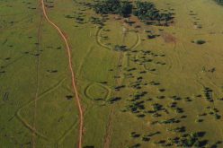 De mystérieux géoglyphes découverts en Amazonie intriguent les scientifiques