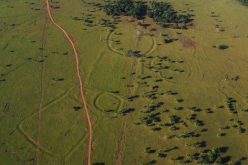 De mystérieux géoglyphes découverts en Amazonie intriguent les scientifiques