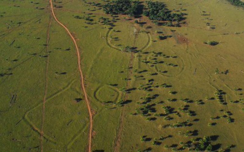 De mystérieux géoglyphes découverts en Amazonie intriguent les scientifiques