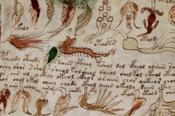 Le manuscrit secret de Voynich