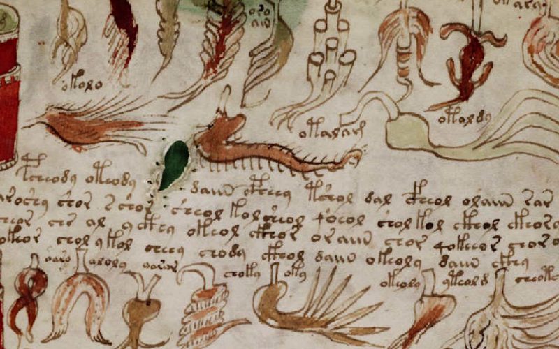 Le manuscrit secret de Voynich