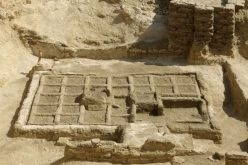 Un exceptionnel jardin funéraire de 4000 ans découvert en Egypte