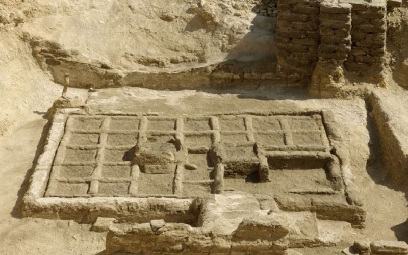 Un exceptionnel jardin funéraire de 4000 ans découvert en Egypte