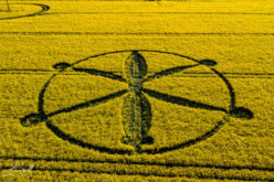 Le premier Crop Circle 2018 apparaît dans les camps anglais de Wiltshire (UK)