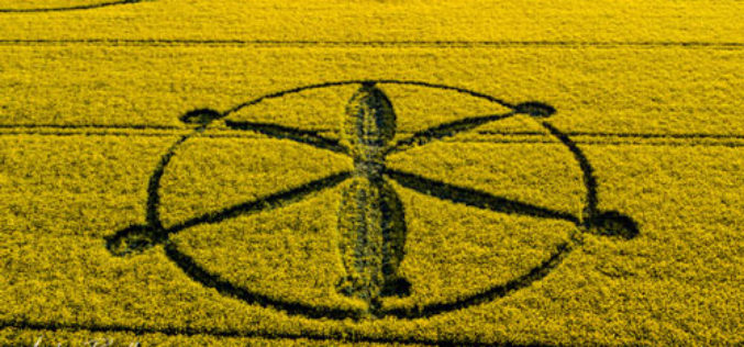 Le premier Crop Circle 2018 apparaît dans les camps anglais de Wiltshire (UK)