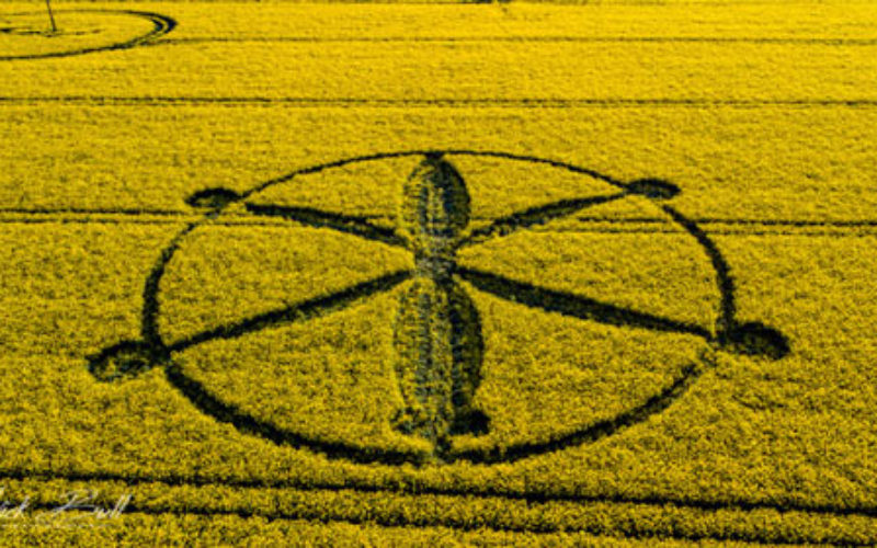 Le premier Crop Circle 2018 apparaît dans les camps anglais de Wiltshire (UK)