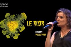 Le Blob, espèce non identifiée, ni plante ni animale.